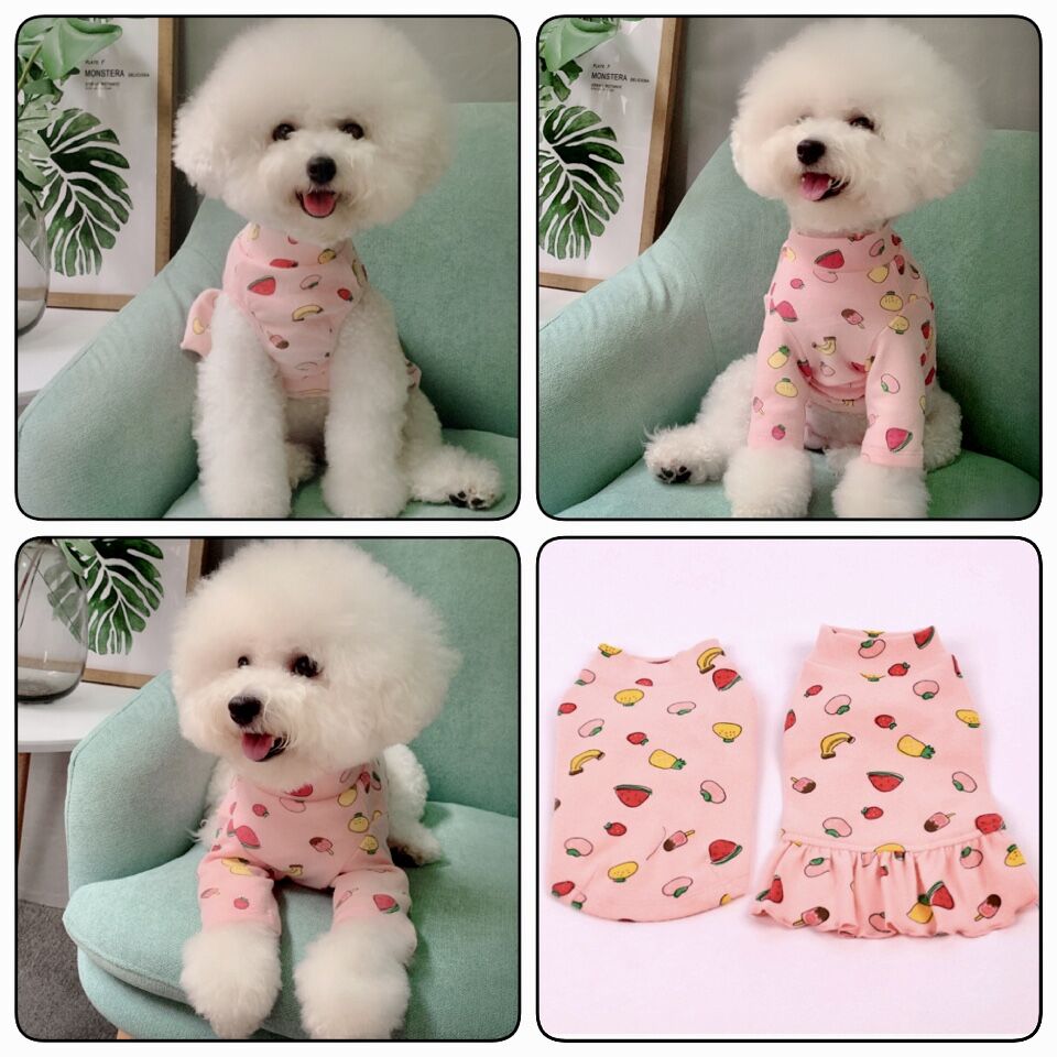 Pet Clothes Fall and Winter New Arrival Pure Cotton Print Fruit Combination Skirt Dog Clothes Teddy Bichon Bottoming Shirt