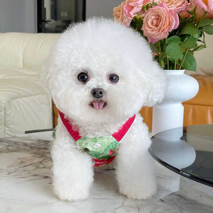 Pet Clothes Summer New Arrival Contrast Color Halter Skirt Teddy Bichon Dog Cat Sun Protection out Thin Clothes