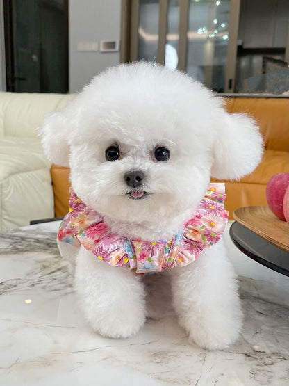 Korean Floral Bichon Dog Thin with Shoulder-Straps Teddy