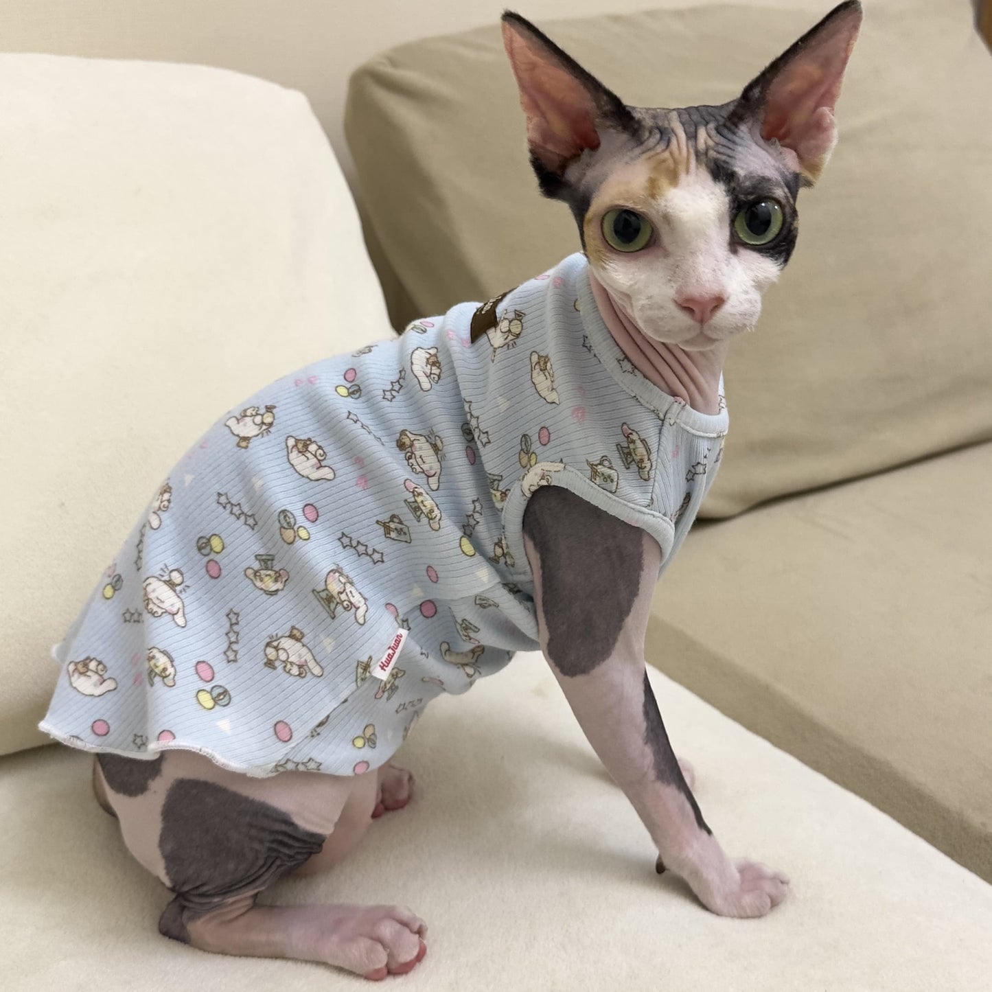 Hairless Cat Sphinx Short-Leg Vest