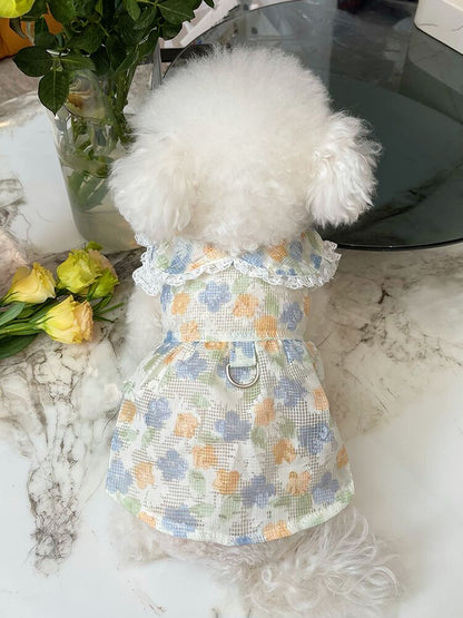 Lace Peter Pan Collar Bichon Thin Type Sunscreen Princess Dress