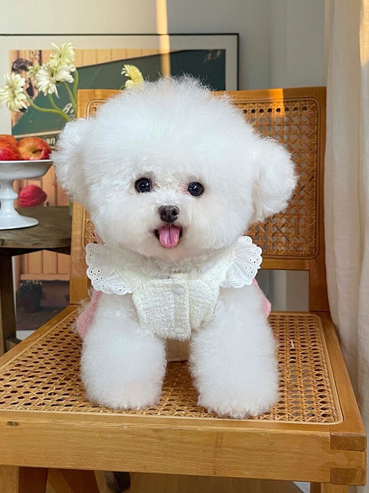 Classic Style Cardigan Outwear Teddy Bichon Traction Buckle