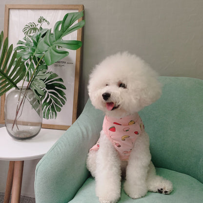 Pet Clothes Fall and Winter New Arrival Pure Cotton Print Fruit Combination Skirt Dog Clothes Teddy Bichon Bottoming Shirt