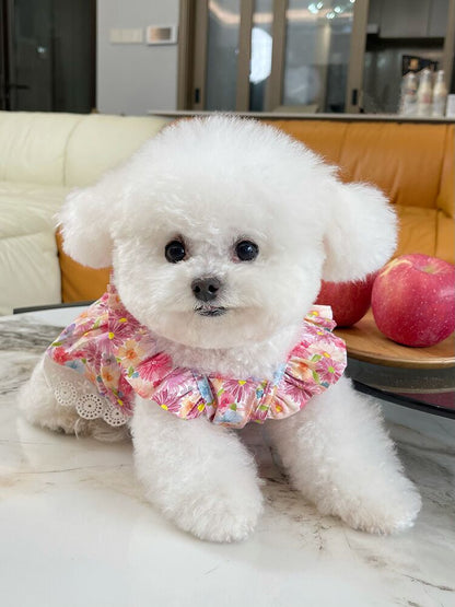 Korean Floral Bichon Dog Thin with Shoulder-Straps Teddy