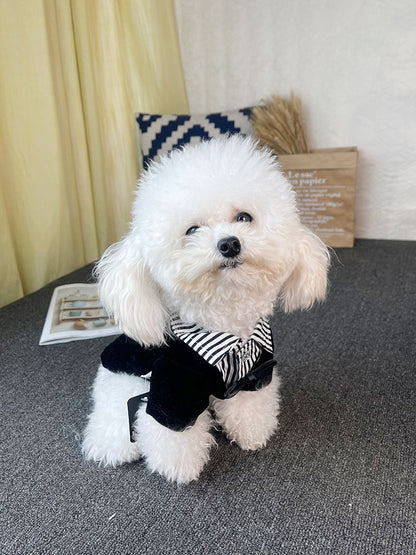 Suit Wedding Dress Teddy Bichon Schnauzer Dog