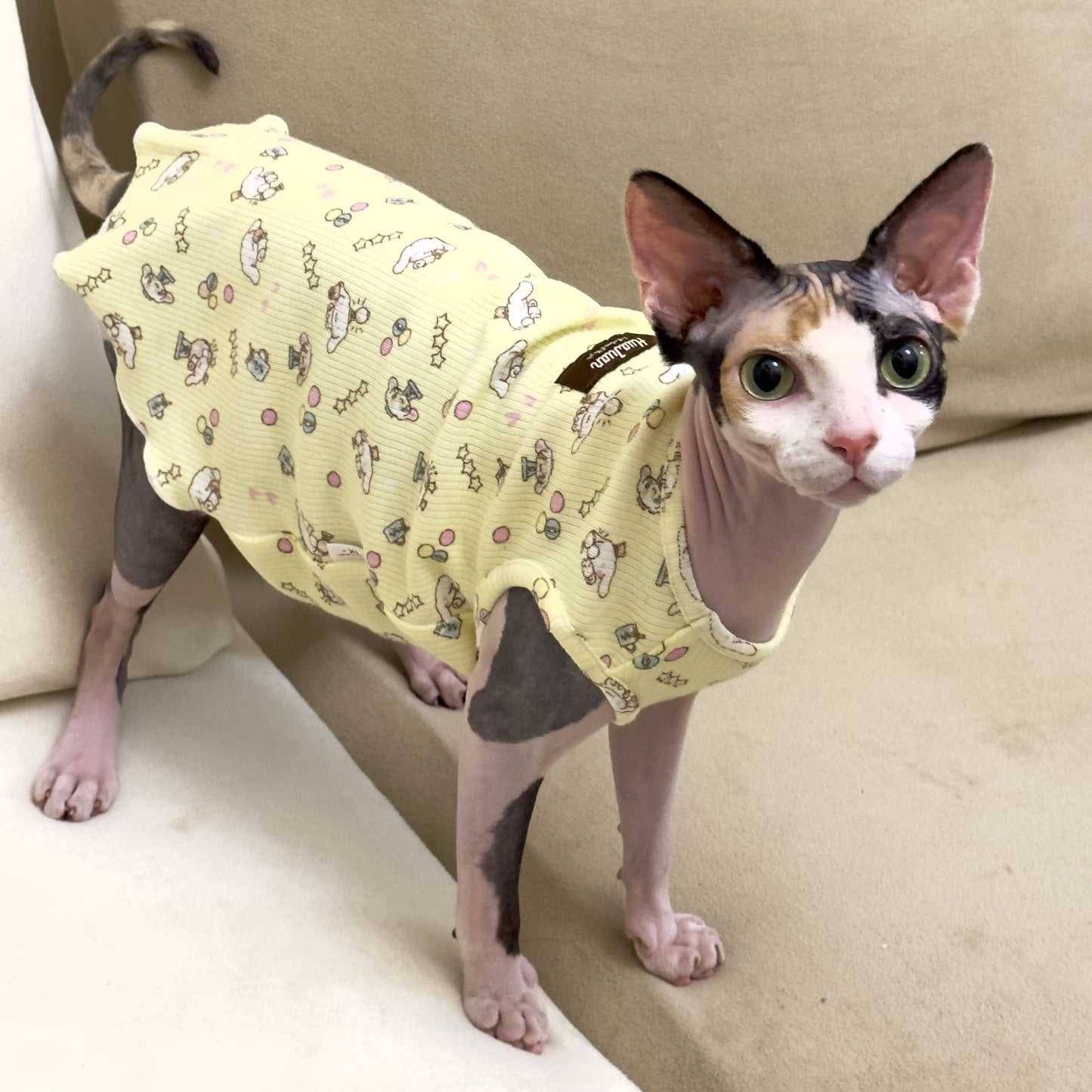 Hairless Cat Sphinx Short-Leg Vest