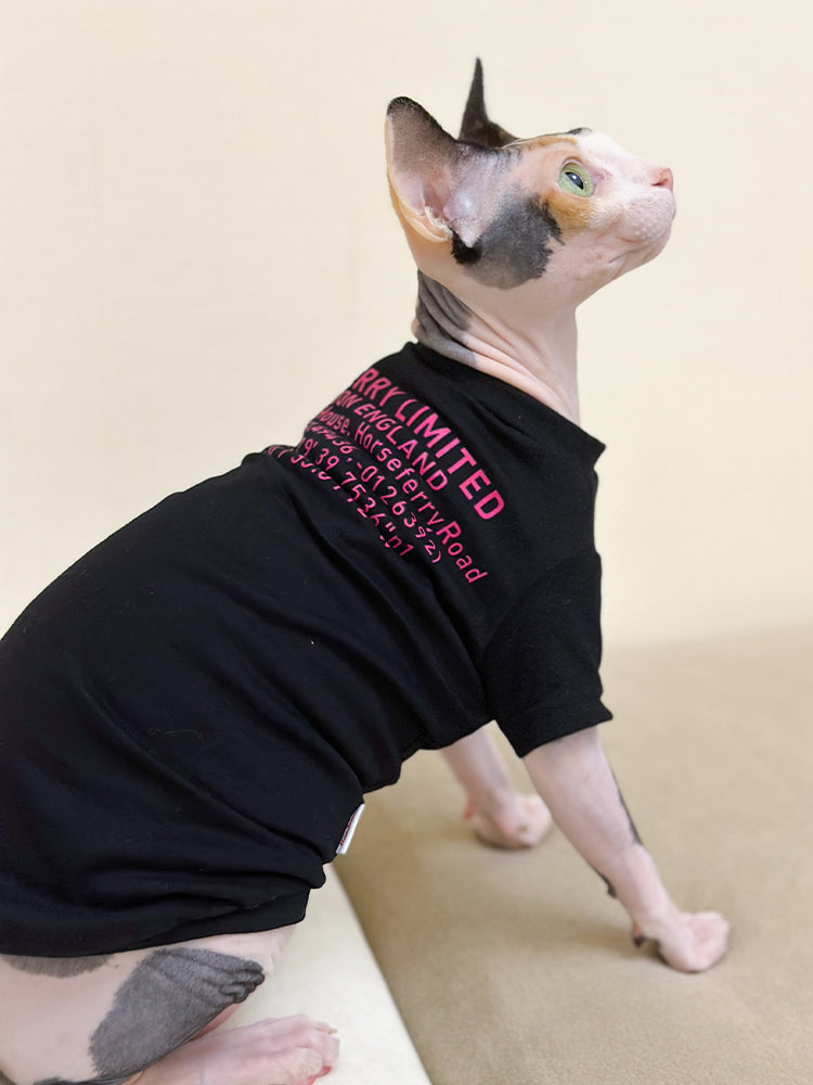 Pure Cotton Fashion Brand Short Sleeve Hot Hairless Cat Sphinx German Short-Legged Pet Clothes Summer Close-Fitting T-shirt