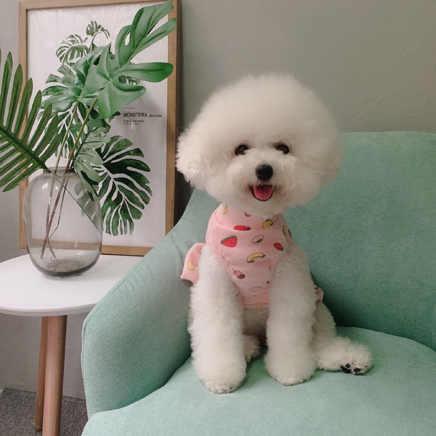 Pet Clothes Fall and Winter New Arrival Pure Cotton Print Fruit Combination Skirt Dog Clothes Teddy Bichon Bottoming Shirt